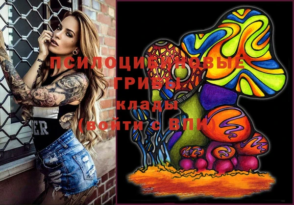 прущие грибы Усмань