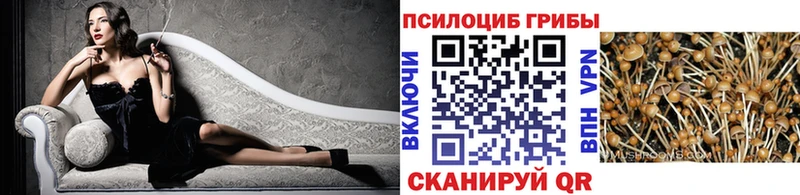 Псилоцибиновые грибы ЛСД  Купить где  Берёзовка 